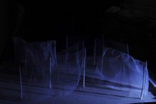 「燈」濱脇奏2016年度助成予定(参考写真「空景」モデル)